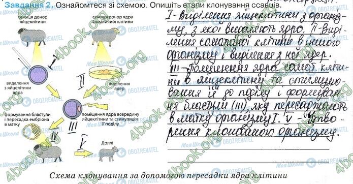 ГДЗ Біологія 11 клас сторінка Стр.84 (2)